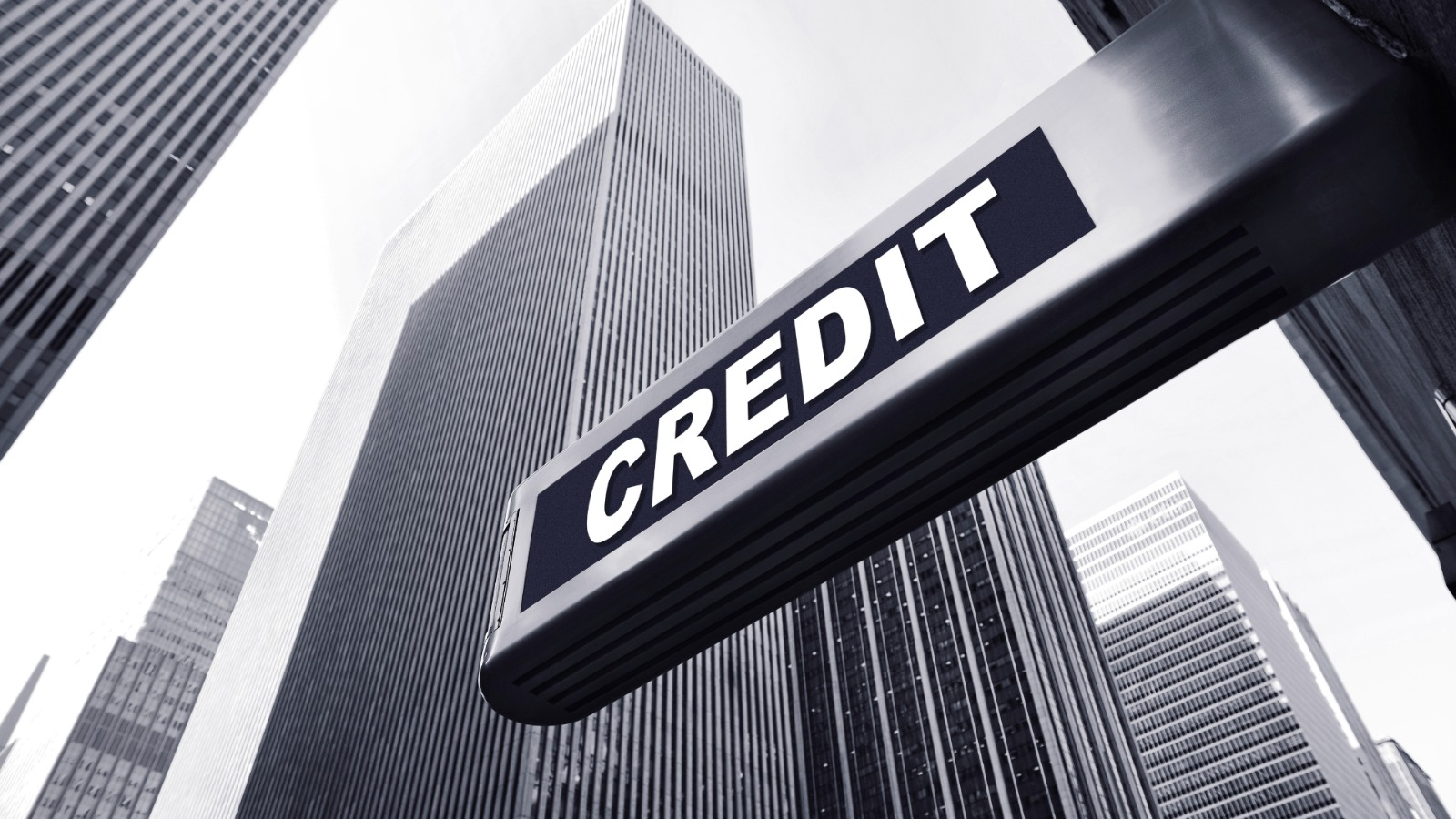 ביטוח אשראי Credit insurance