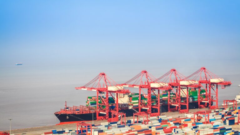 ביטוח יבואנים ויצואנים Importer and exporter insurance